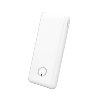 Powerbank haute capacité ECO